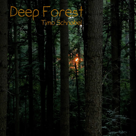 Projekt: „Deep Forest“